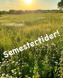 semester